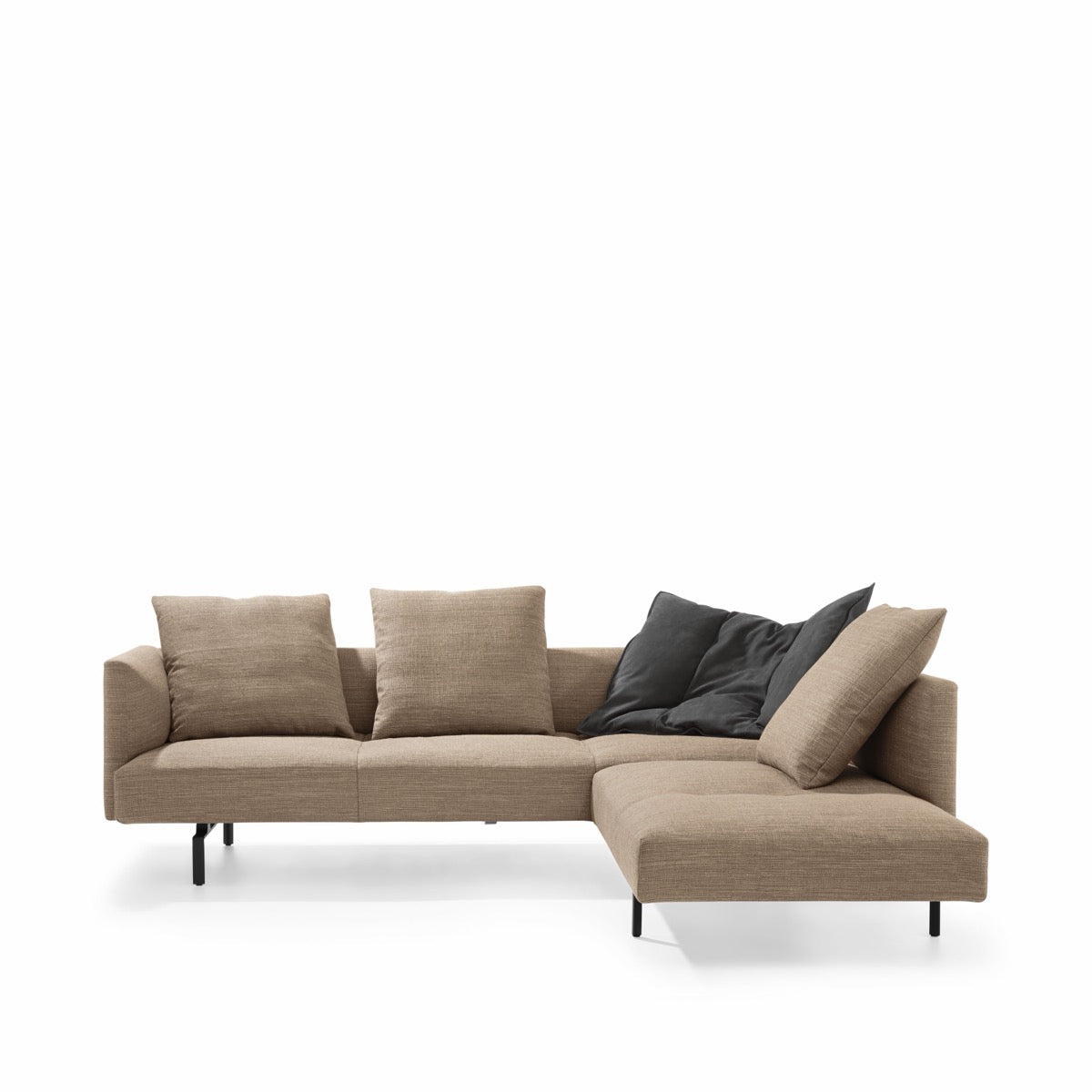 Walter Knoll Muud