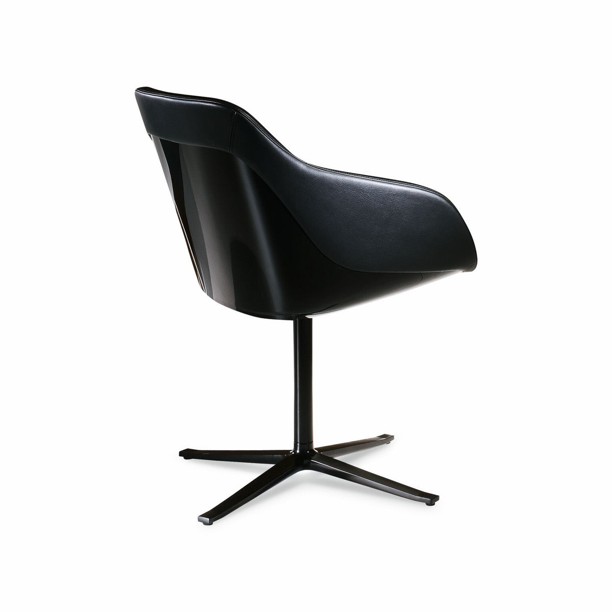 Walter Knoll Turtle